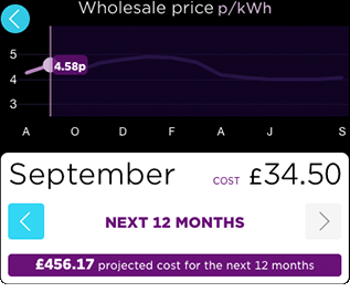 A graph showing an annual forecast of your energy price