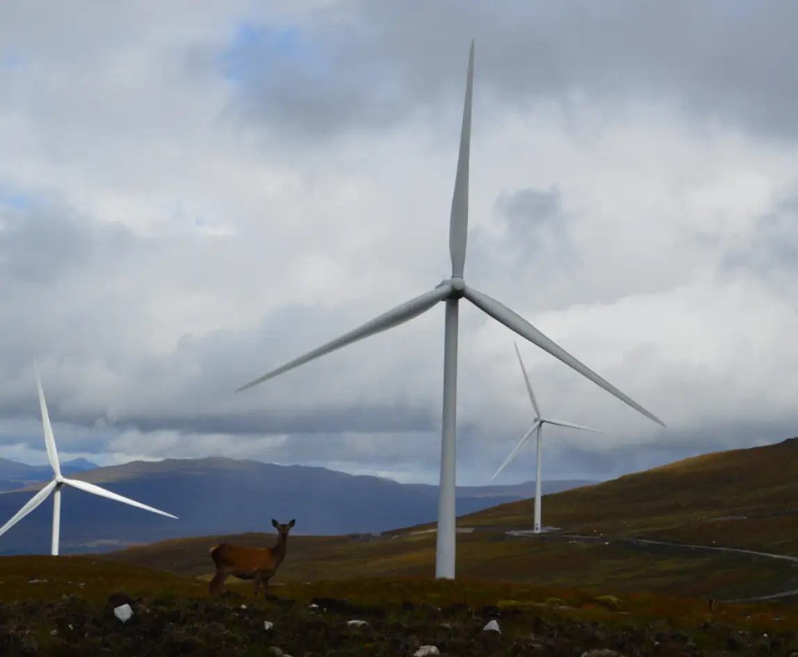 Beinneun, Scotland. Octopus Renewables Investments